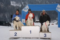 Lenk 2012 SM